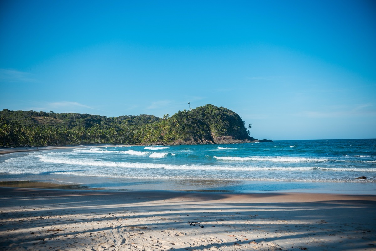 Prainha de Itacaré, com ondas quebrando no mar azul diante de um morro coberto de coqueiros e mata atlântica, sob céu azul limpo.