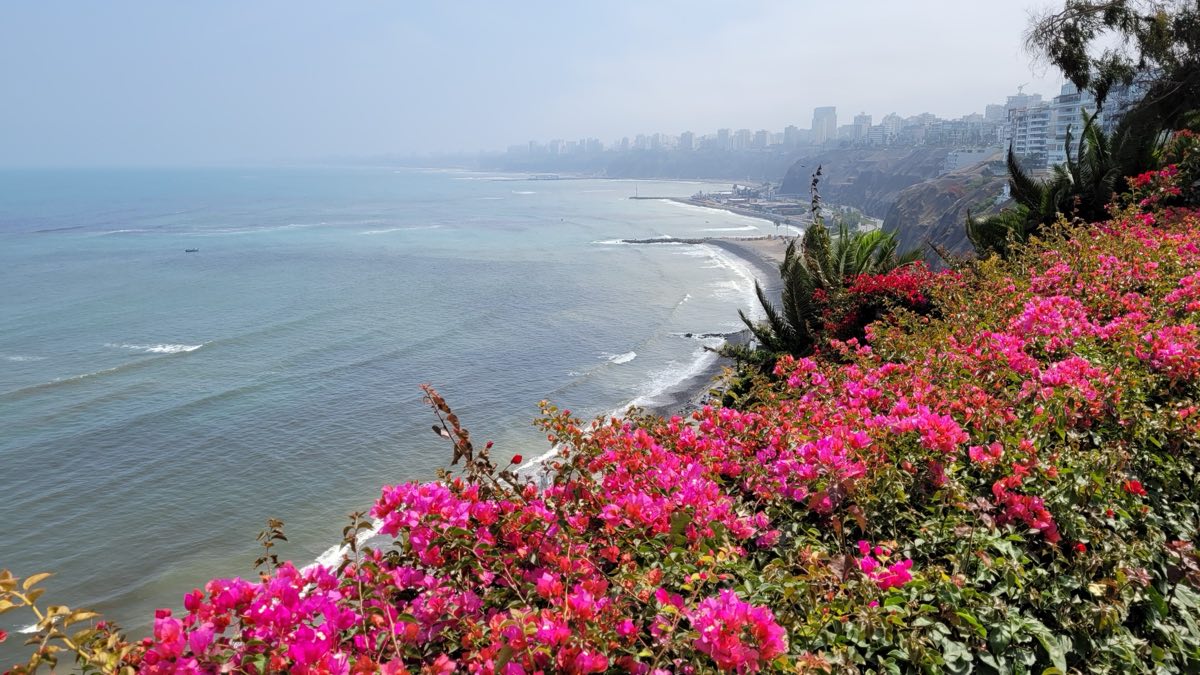 Buganvílias cor-de-rosa no alto da falésia de Barranco diante do oceano Pacífico, com a orla da Costa Verde e os prédios de Miraflores ao fundo sob névoa clara.